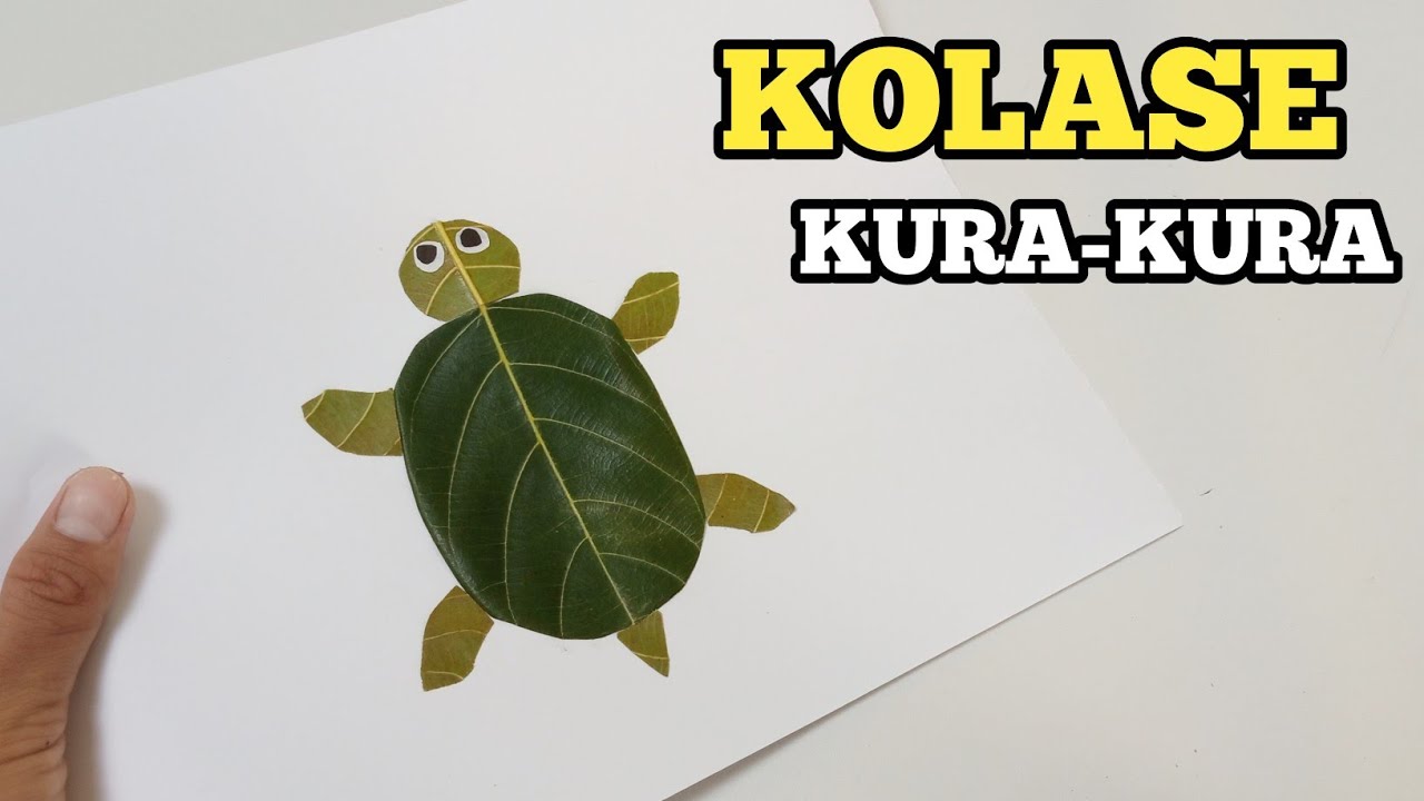 Detail Kolase Gambar Kura Kura Nomer 26