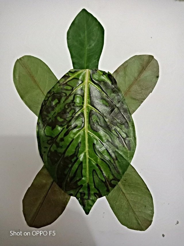 Detail Kolase Hewan Dari Daun Nomer 20