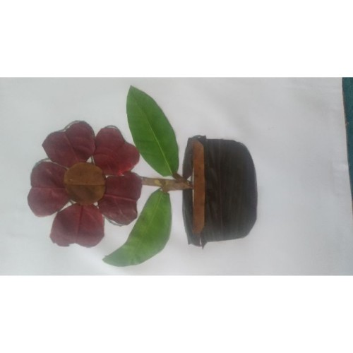 Detail Kolase Hewan Dari Daun Nomer 40