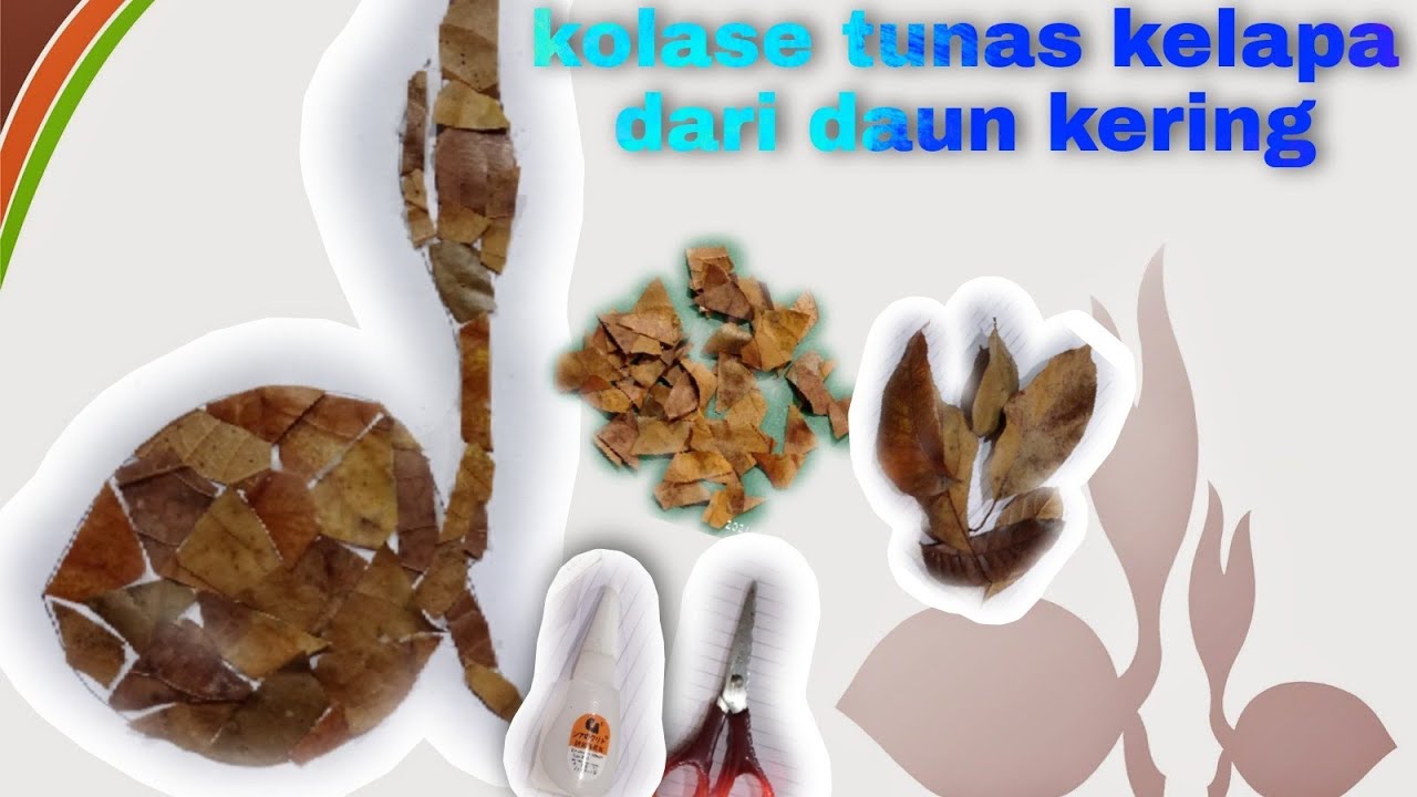 Detail Kolase Tunas Kelapa Nomer 8