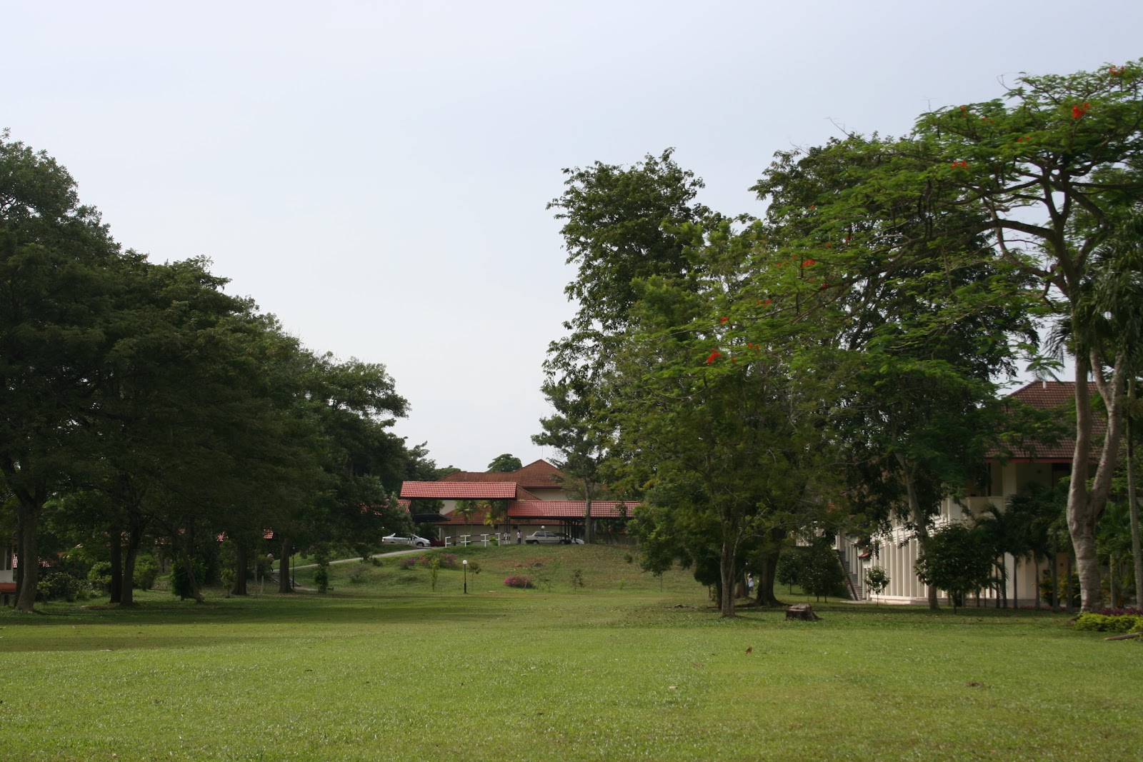 Detail Kolej Tuanku Ja Afar Nomer 52