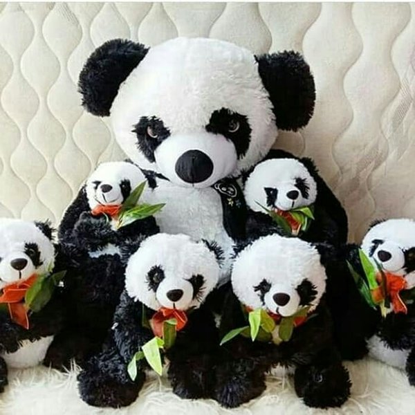 Detail Koleksi Boneka Panda Nomer 31