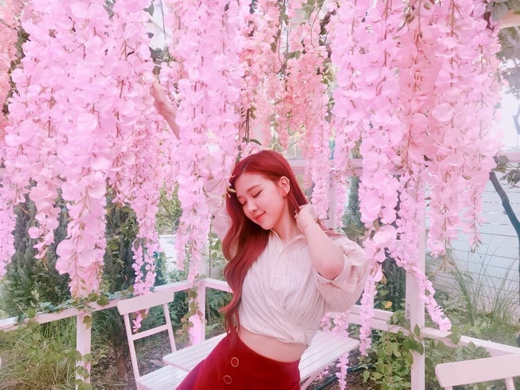 Detail Koleksi Foto Rose Blackpink Nomer 36