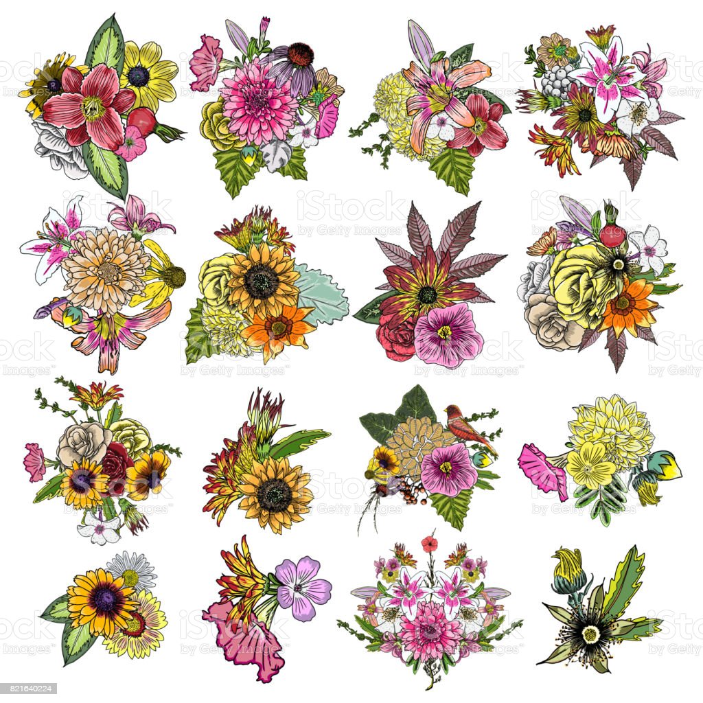 Detail Koleksi Gambar Bunga Nomer 13