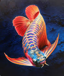 Detail Koleksi Gambar Ikan Nomer 14