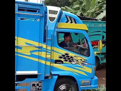 Detail Kombinasi Warna Bak Truk Nomer 15