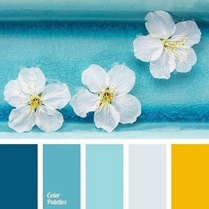 Detail Kombinasi Warna Cat Hijau Tosca Nomer 55