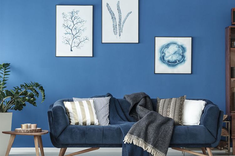 Detail Kombinasi Warna Cat Rumah Biru Nomer 31