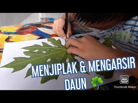 Detail Menjiplak Gambar Untuk Anak Tk Nomer 7