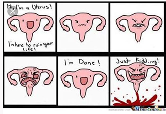 Detail Menstrual Cramps Meme Nomer 11