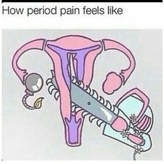 Detail Menstrual Cramps Meme Nomer 17