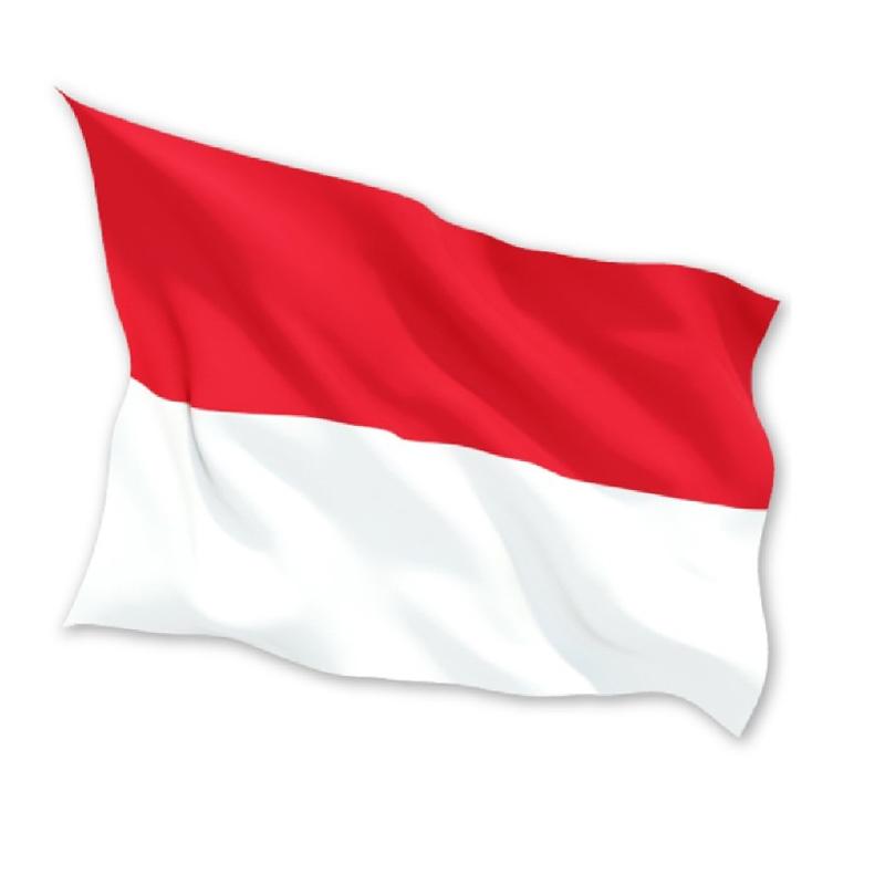 Detail Mentahan Bendera Merah Putih Nomer 10