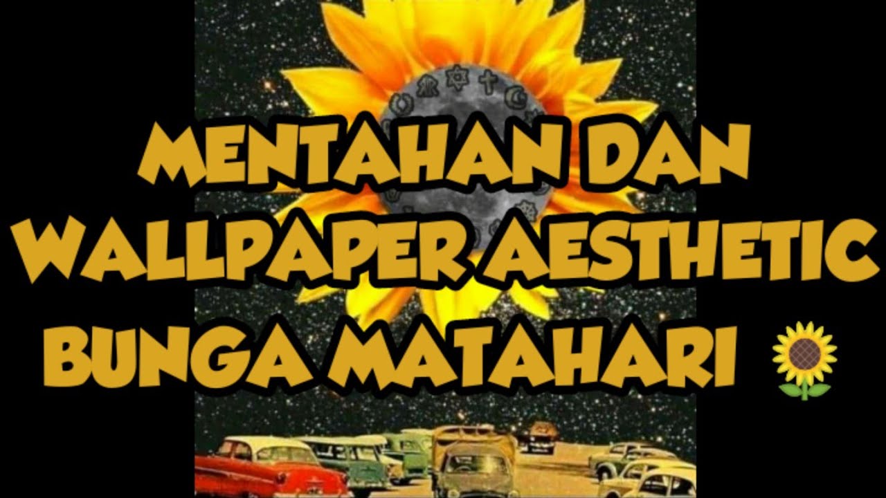 Detail Mentahan Bunga Matahari Nomer 33