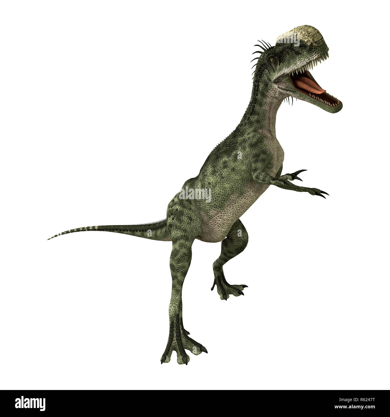 Detail Mentahan Dinosaurus Nomer 19