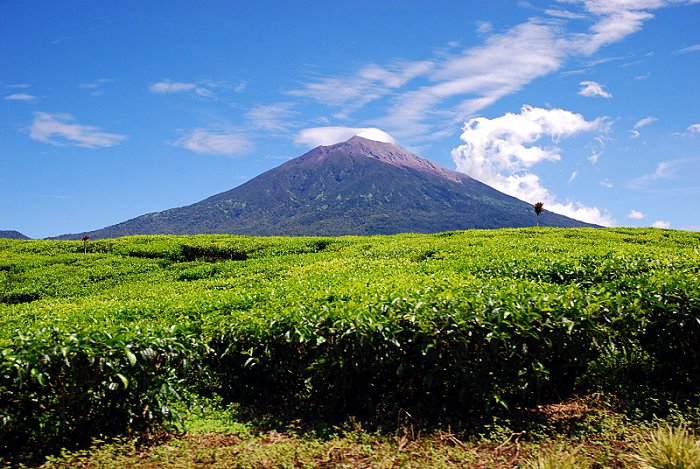 Detail Mentahan Gunung Nomer 45