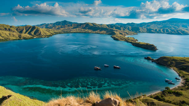 Detail Komodo Island Wallpaper Nomer 35