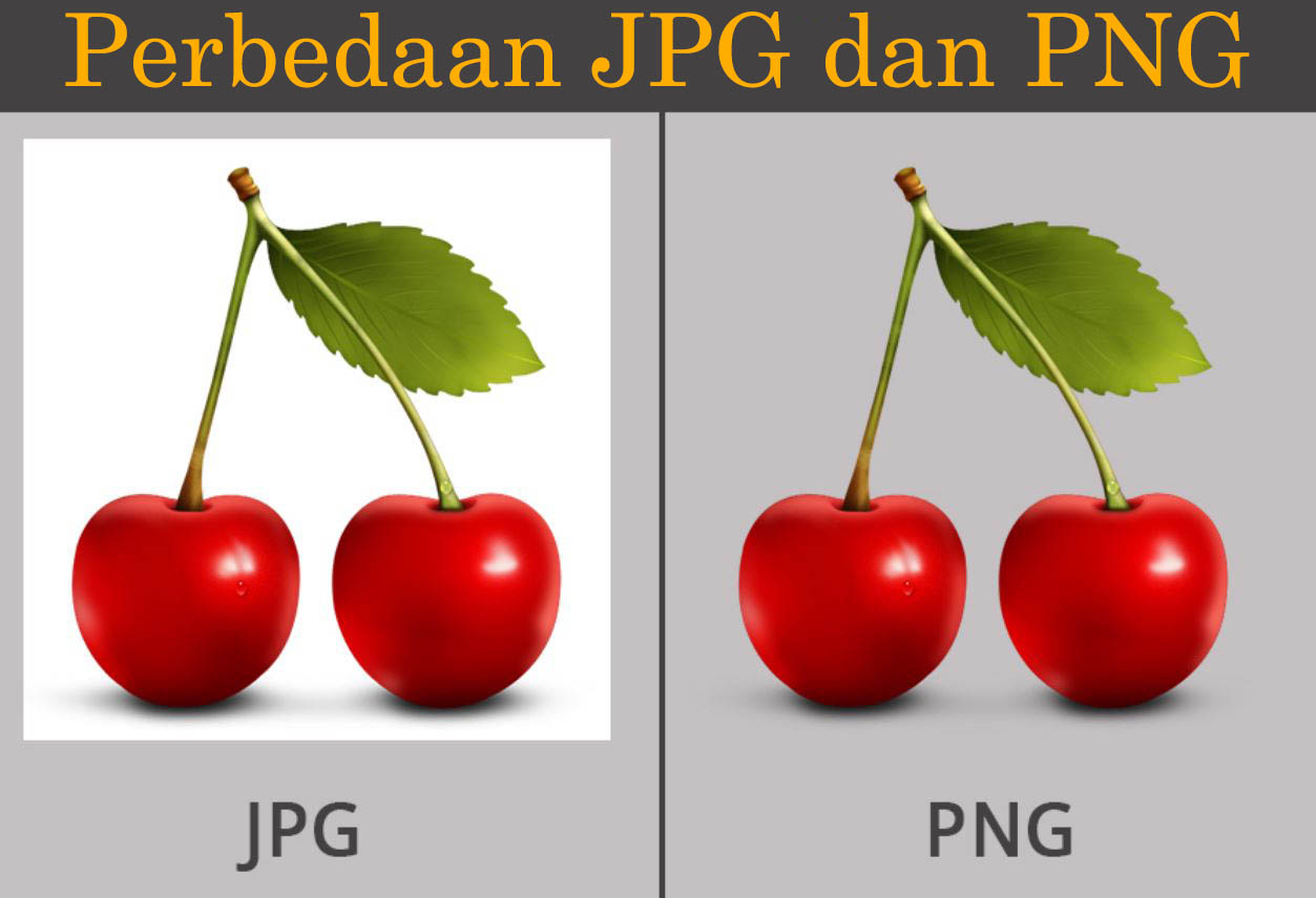 Detail Kompresi Format Gambar Png Nomer 39