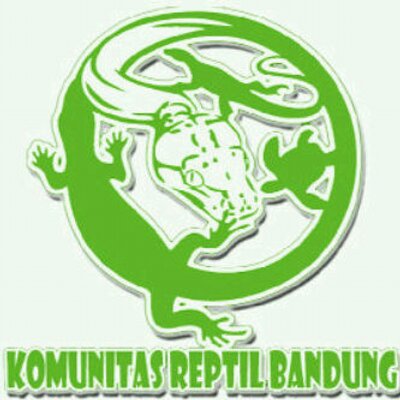 Detail Komunitas Reptil Indonesia Nomer 25