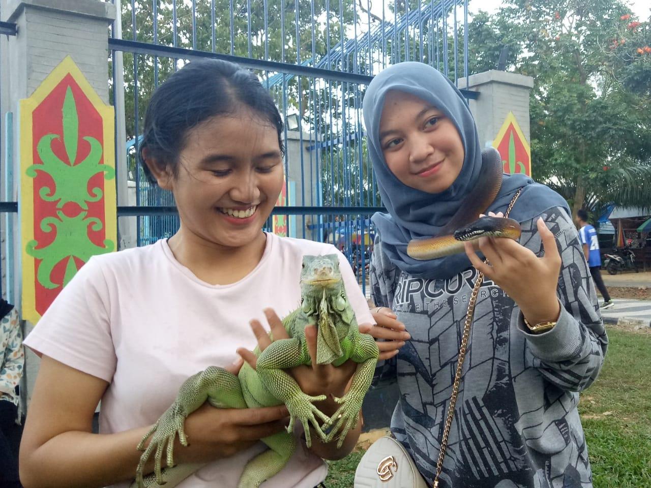 Detail Komunitas Reptil Indonesia Nomer 46