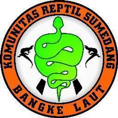 Detail Komunitas Reptil Indonesia Nomer 53