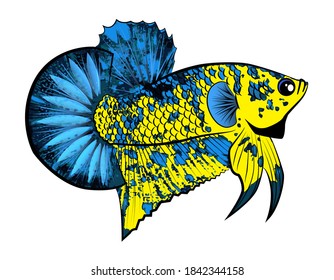 Detail Mentahan Logo Ikan Cupang Nomer 12