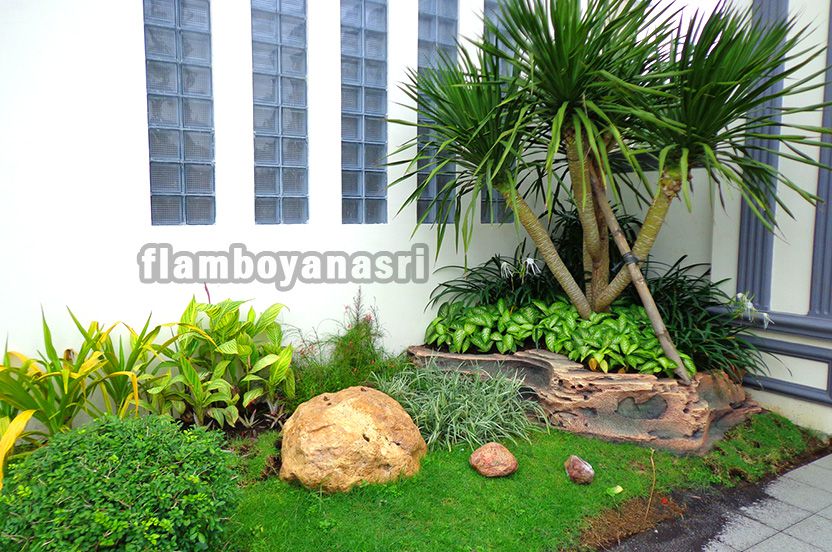 Detail Konsep Tanaman Depan Rumah Nomer 21