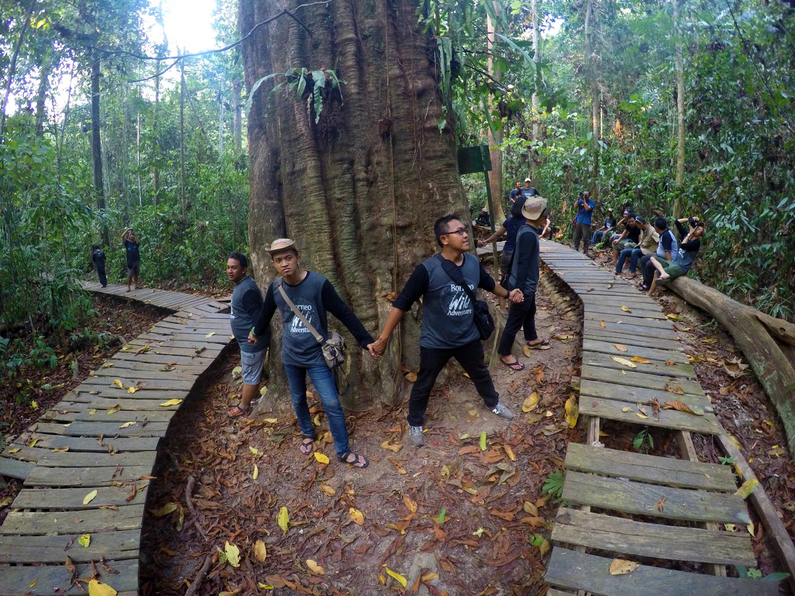 Detail Konstruksi Jembatan Kayu Ulin Nomer 38