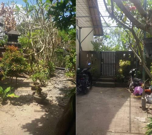 Detail Kontrakan Rumah Di Denpasar Nomer 54