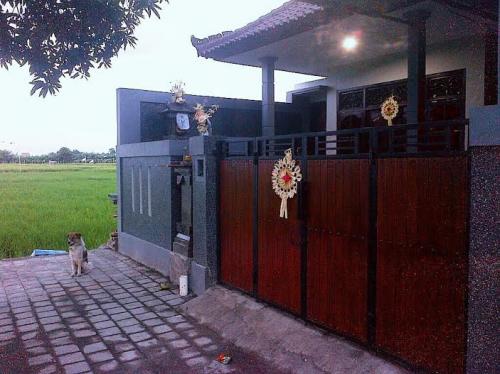 Detail Kontrakan Rumah Murah Denpasar Nomer 17