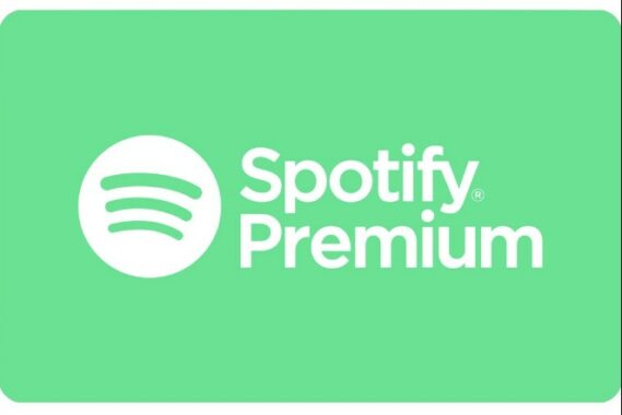 Detail Mentahan Spotify Nomer 40