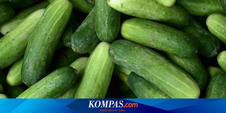 Detail Mentimun Buah Atau Sayur Nomer 5