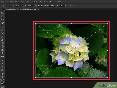 Detail Menyatukan Gambar Dengan Gradient Di Photoshop Nomer 29