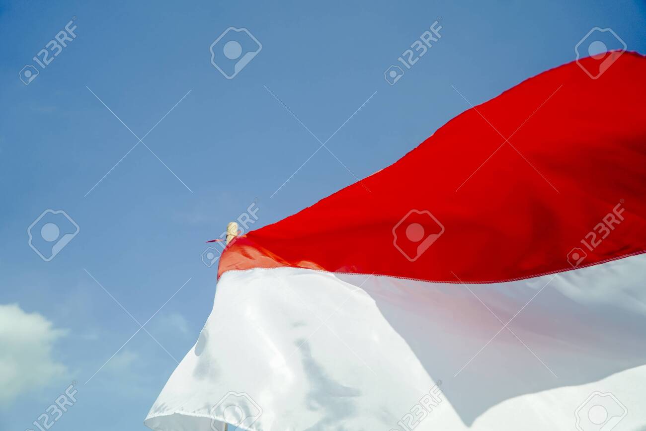 Detail Merah Putih Background Hd Nomer 27