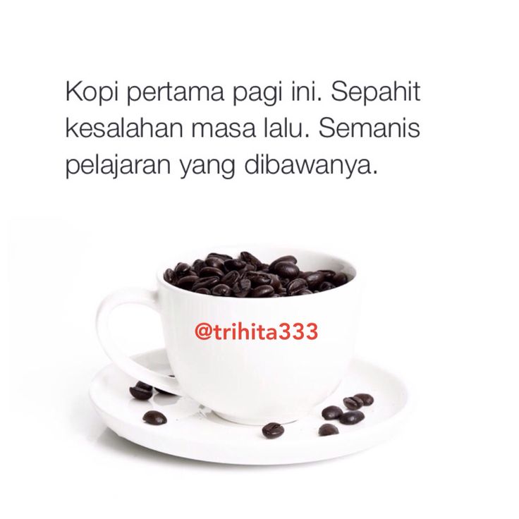 Detail Kopi Quotes Lucu Nomer 13