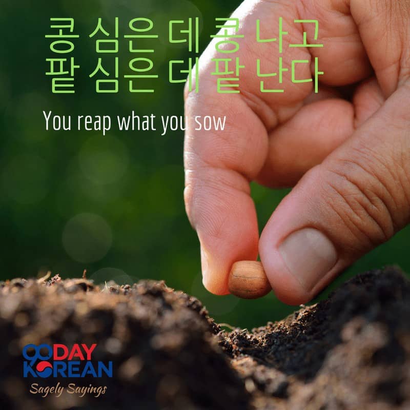 Detail Korean Quotes About Family Nomer 14