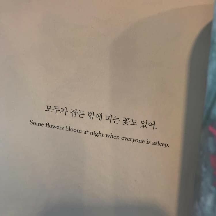 Korean Quotes Life - KibrisPDR