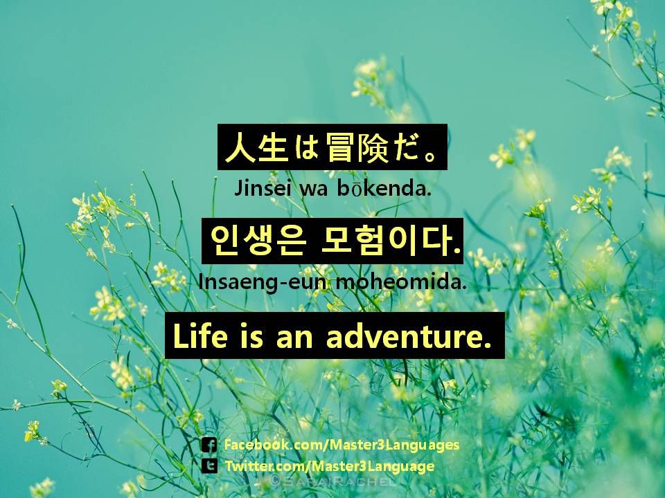 Detail Korean Quotes Life Nomer 6