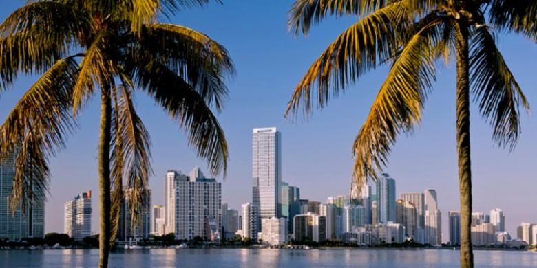 Detail Kota Miami Amerika Nomer 19