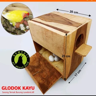 Detail Kotak Lovebird Nomer 41