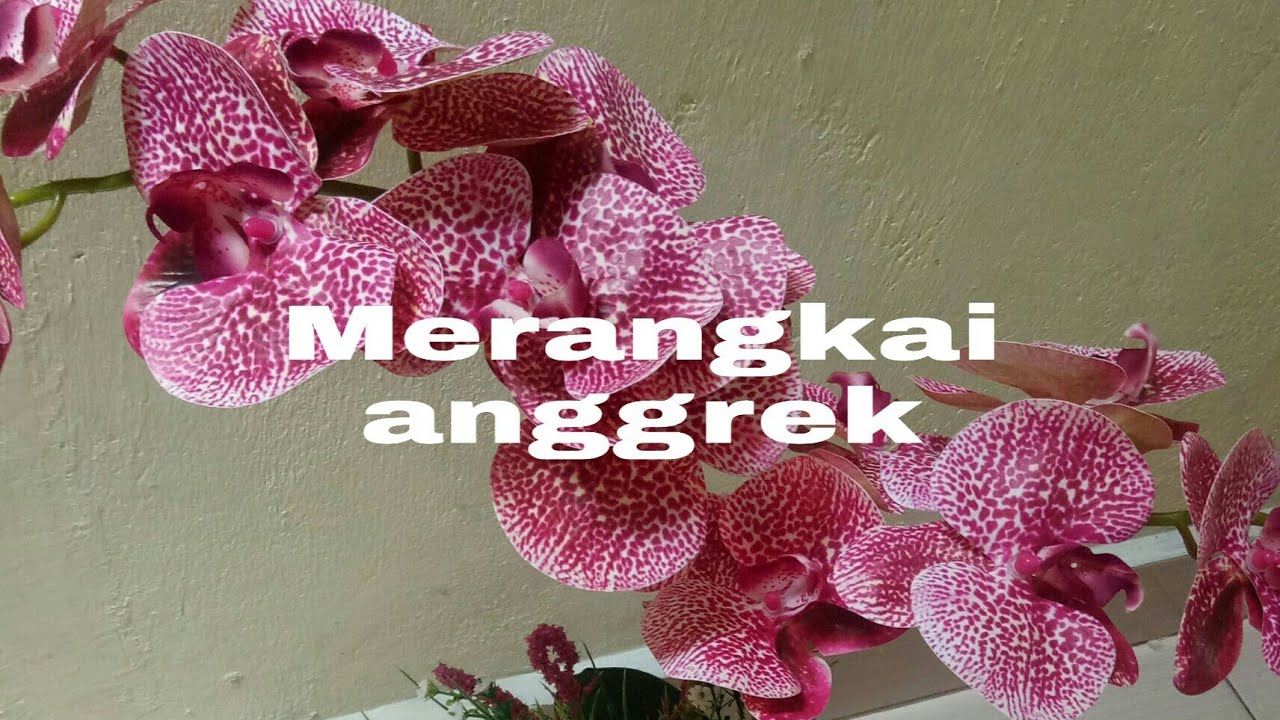 Detail Merangkai Bunga Anggrek Nomer 2