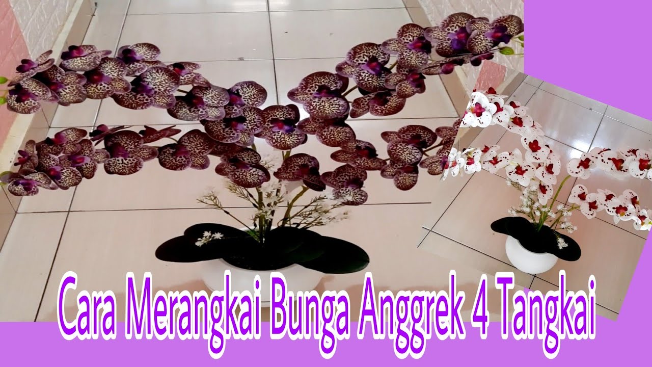 Detail Merangkai Bunga Anggrek Nomer 39