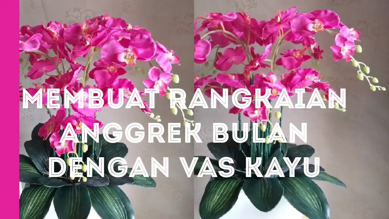 Detail Merangkai Bunga Anggrek Nomer 5