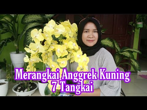 Detail Merangkai Bunga Anggrek Nomer 50