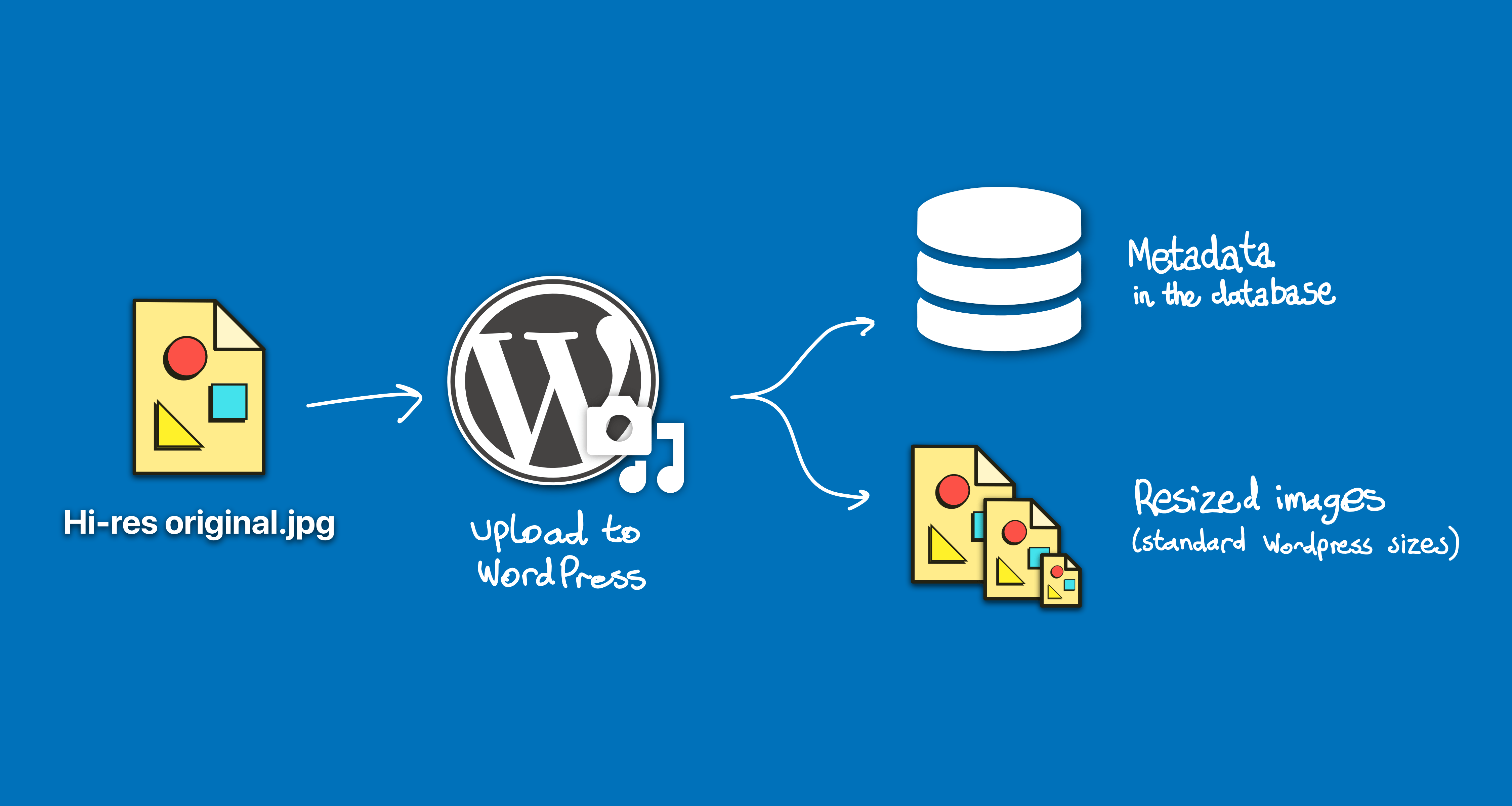 Detail Meresize Gambar Di Wordpress Nomer 55