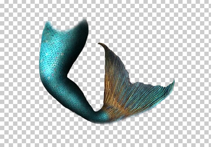 Detail Mermaid Png Images Nomer 32