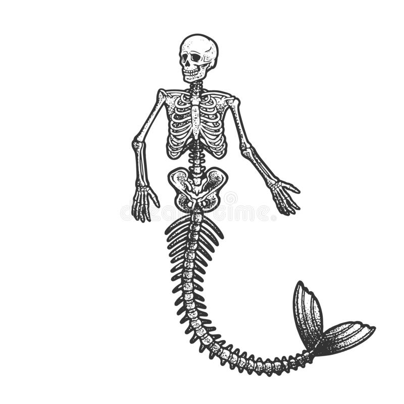 Detail Mermaid Skeleton Clipart Nomer 21