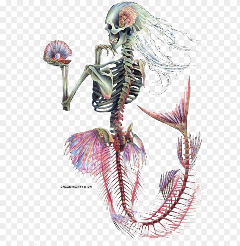 Detail Mermaid Skeleton Clipart Nomer 7