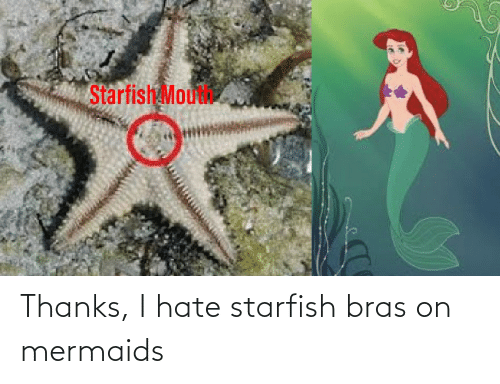 Detail Mermaid Starfish Meme Nomer 15