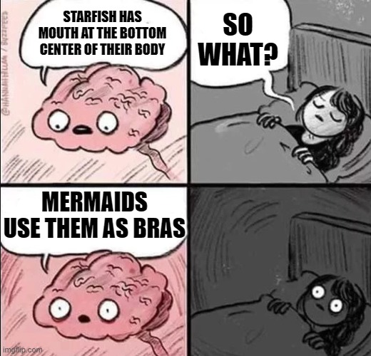 Detail Mermaid Starfish Meme Nomer 6