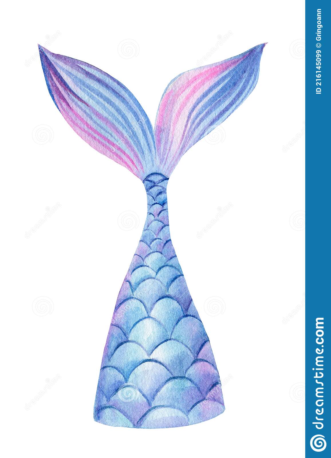 Detail Mermaid Tail Clipart Nomer 33